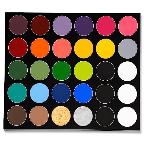 Mehron Makeup Paradise Makeup AQ 30 Color Pro Palette | Magnetic and Refillable Palette | Body Paint & Face Paint | Costumes, SFX, Halloween, & Cosplay