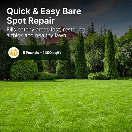 Sun and Shade Tall Fescue Grass Seed Mix, Drought Resistant, Thick Lawn, Fast Germination