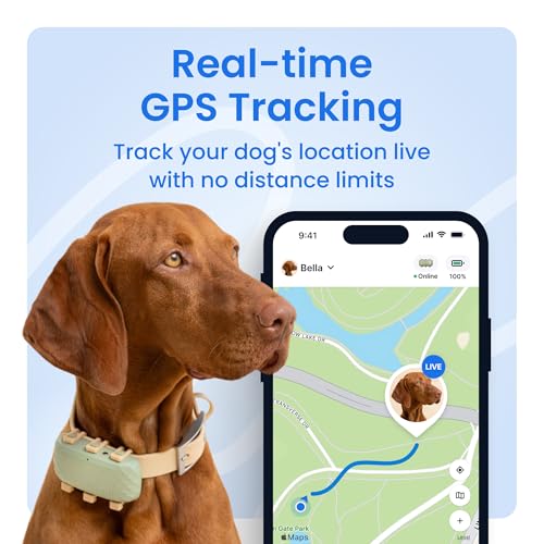 Tractive XL Smart Dog GPS Tracker | Live Pet Tracker with Virtual Fence | Vital Signs Monitoring of Heart & Respiratory Rate | Up to 1-Month Battery Life | Dog Collar Attachment (Green)