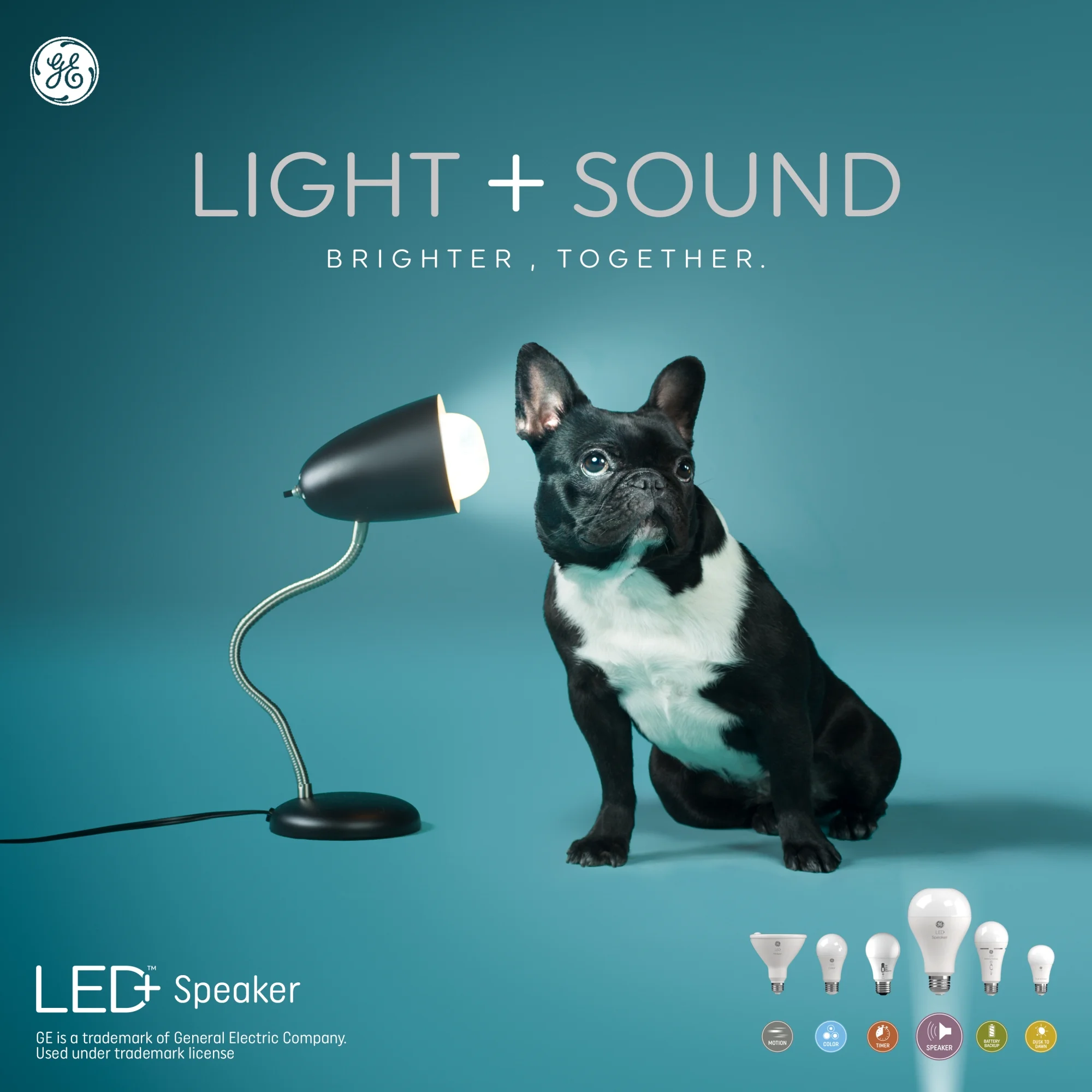 GE LED+ Speaker Floodlight Bulb, 10 Watts, Soft White, Bluetooth Enabled with Remote BR30 Light Bulb
