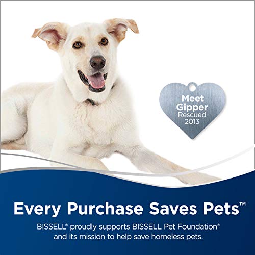 Bissell 2252 CleanView Swivel Upright Bagless Vacuum with Swivel Steering, Powerful Pet Hair Pick Up, Specialized Pet Tools, Large Capacity Dirt Tank, Easy Empty