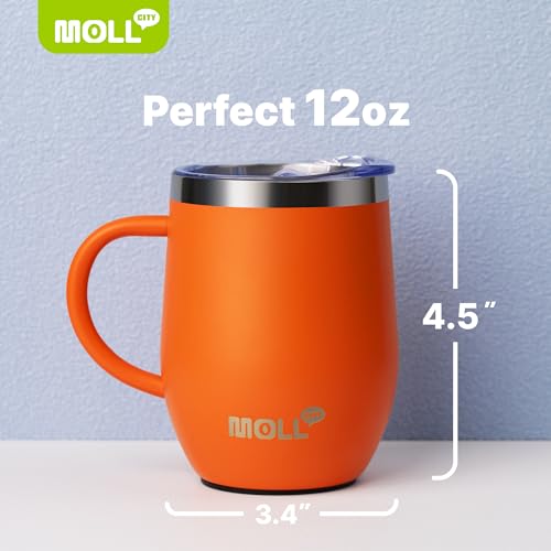 Tumbler with Lid and Straw-12 oz Stainless Steel Double Wall Vacuum Insulated Tumbler Cup with Handle (Canyon Red-Sky Blue)