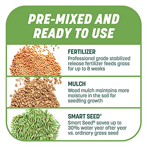 Pennington Smart Patch Tall Fescue Mix 10 lb