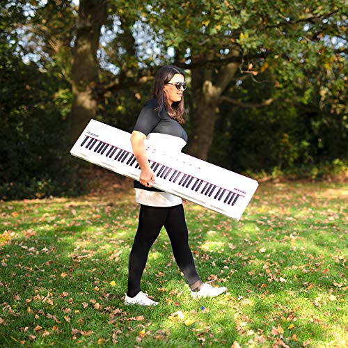 Alesis Recital – 88 Key Digital Piano Keyboard with Semi Weighted Keys, 2x20W Speakers, 5 Voices, Split, Layer and Lesson Mode, FX and Piano Lessons