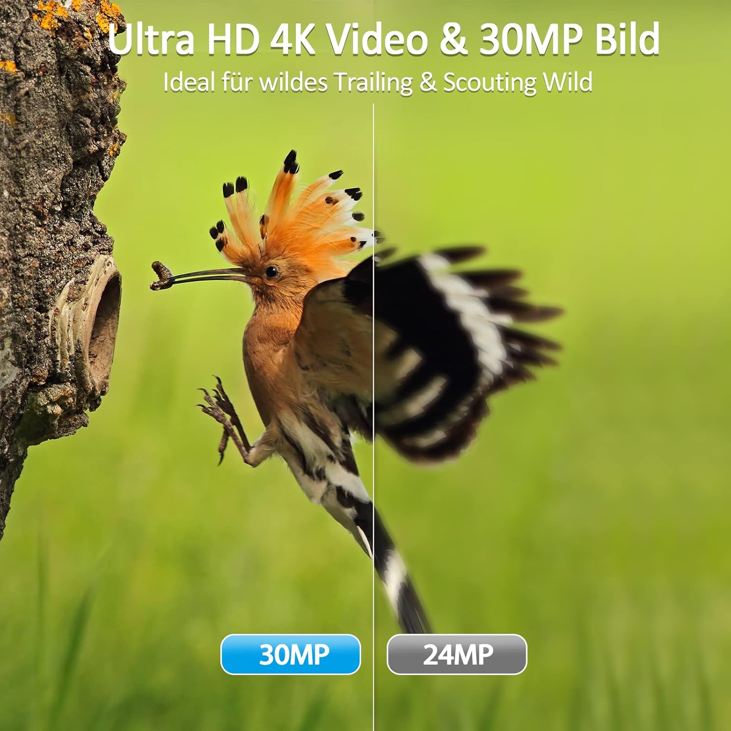 WiFi Trail Camera,4K 30MP Wireless Bluetooth Wildlife Camera with 64GB Card,Fast 0.2s Motion Activated 120°Angle Game Camera for Hunting,Ultra-Long Standby Time,65FT Night Vision,IP66 Waterproof