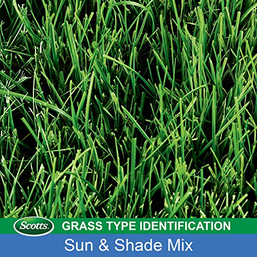 Scotts Turf Builder Grass Seed Sun & Shade Mix with Fertilizer and Soil Improver, Thrives in Many Conditions, 5.6 lbs.