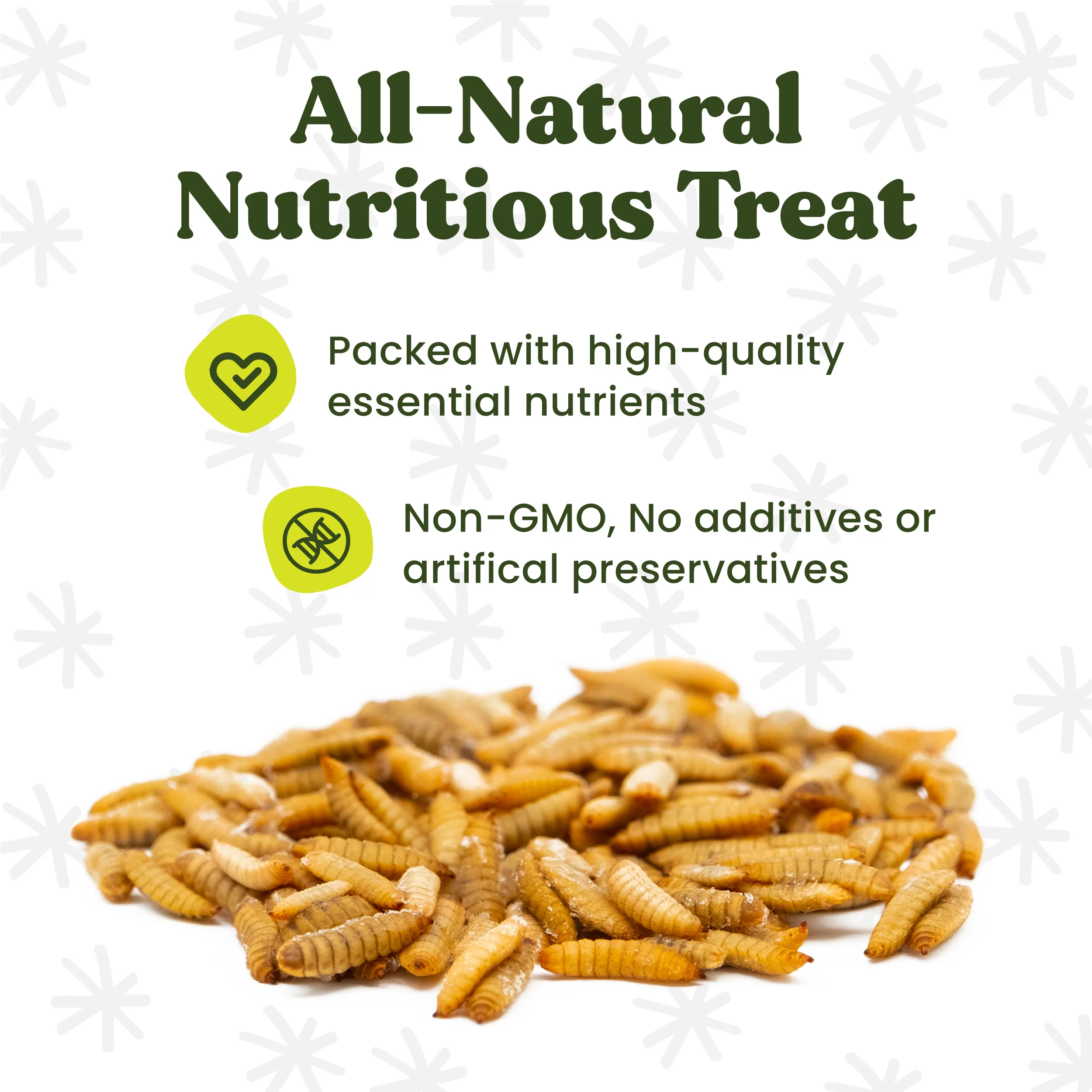 Whole Dried Black Soldier Fly Larvae Bag (BSFL) 15 Lbs.