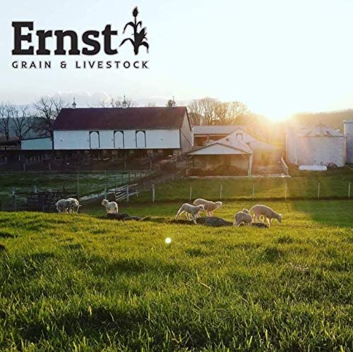 Ernst Grain's Oats, Feed Grade, 50 lb