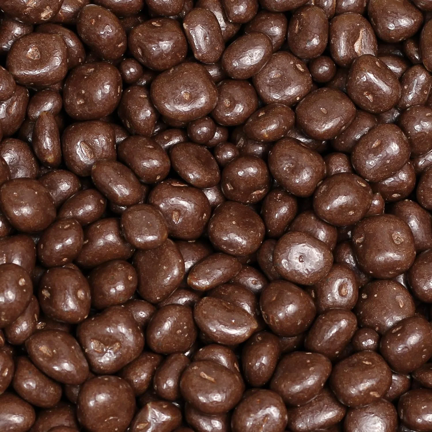 Milk Chocolate Covered Dried Mango by It's Delish, 10 Lbs Bulk Bag  Gourmet Chocolate Covered Mango Bits Fruit Snacks Bulk Chocolate Candy Treats  Dairy, Kosher