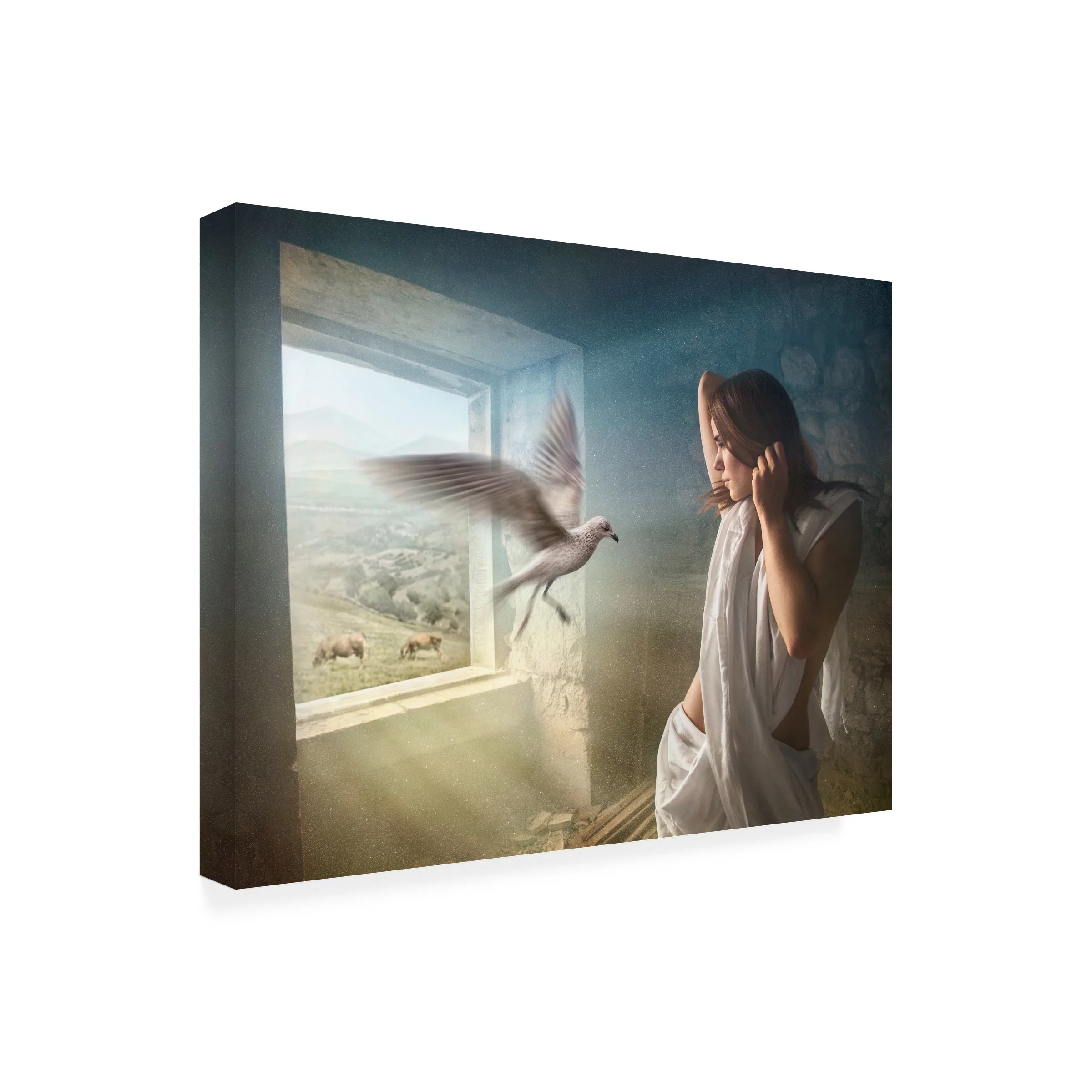 Ben Heine 'Old Times' Canvas Art