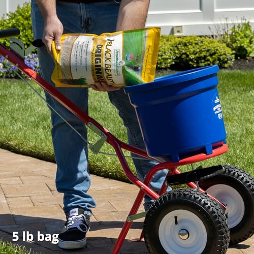 Jonathan Green 10315 Black Beauty Grass Seed Mix, 25-Pound