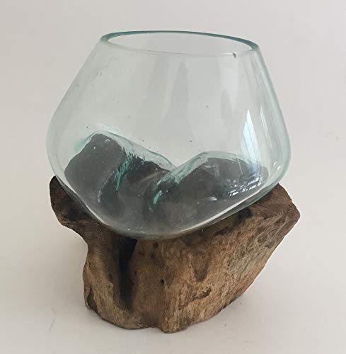 Hand Blown Molten Glass & Teak Wood Terrarium/Vase/Fish Bowl - Premium Quality (6