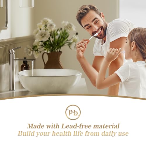 Phiestina Brushed Gold One Hole High Bathroom Vessel Sink Faucet, Single Hole Single Handle Tall Bathroom Faucet, with Pop Up Drain and Water Supply Line,FH01-BG-V