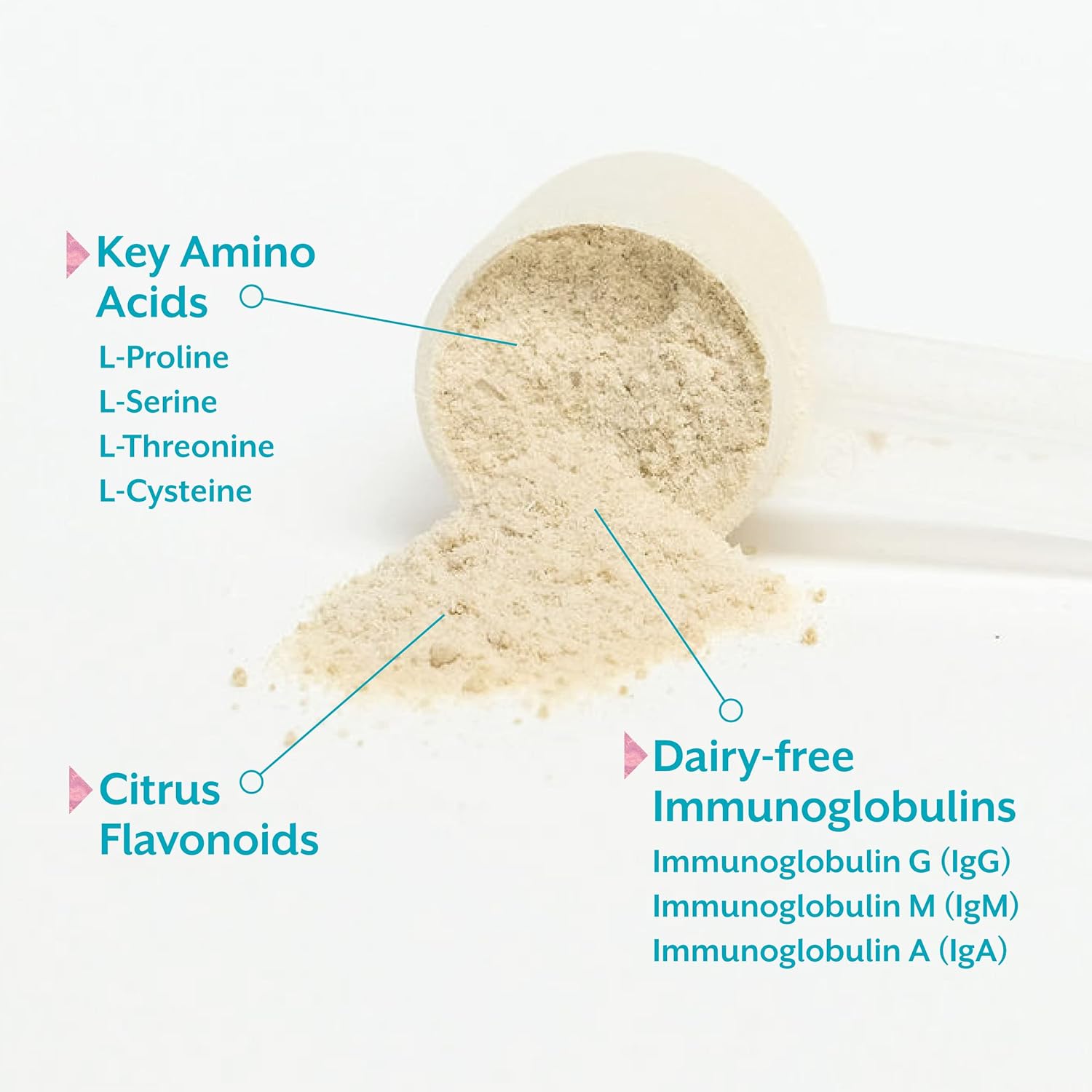 Microbiome Labs MegaSporeBiotic (60 Capsules) + MegaMucosa (5.5oz Powder) Probiotic and Gut Mucosal Support Bundle - Spore-Based Probiotic with Immunoglobulins, Amino Acids Powder Supplement