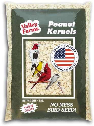 Valley Farms Whole Peanut Kernels (4 LB) Wild Bird Food for Outside Feeders, Peanuts for Birds, Chickadee Bird Seed for Outside Feeders, No Mess Bird Seed