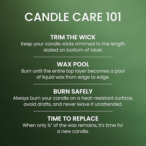 Yankee Candle Balsam & Cedar, Holiday Scented Candle, 22oz Large Jar with up to 150 Hour Burn Time, Giftable