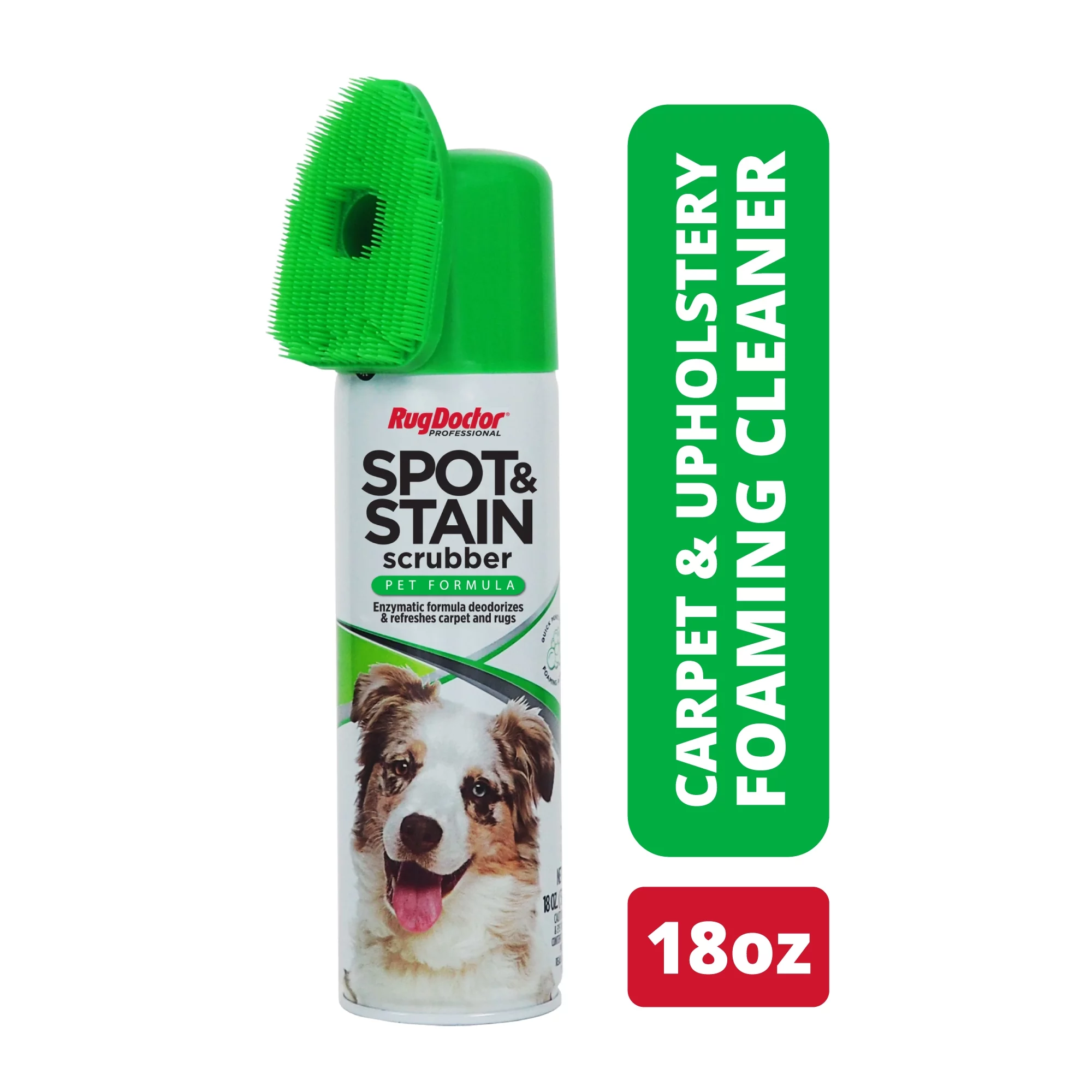 Rug Doctor Pet Stain Odor Remover, 18 Ounce