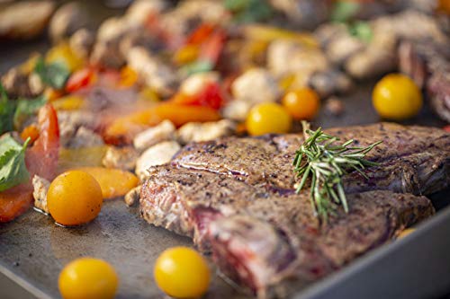 Pit Boss 10960 2-Burner Tabletop Griddle, Black