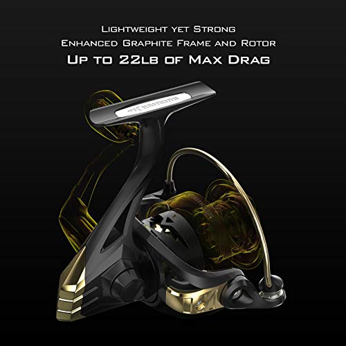 KastKing Valiant Eagle Gold Spinning Reel - 6.2:1 High-Speed Gear Ratio, Freshwater and Saltwater Fishing Reel, Faster Line Retrieve, Braid Ready Spool, 7+1 Shielded Stainless Steel Ball Bearings