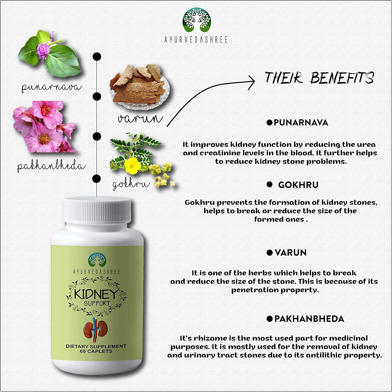 Kidney Support Herbal Supplement - Supports Healthy Kidney Function, Vegan, Gluten-Free, GMP Certified - Each Caplet of 1000 MG