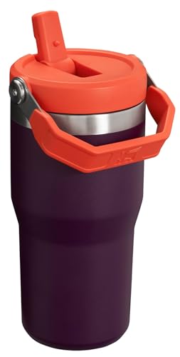 Stanley IceFlow Flip Straw Tumbler with Handle 30 oz | Twist On Lid and Flip Up Straw | Leak Resistant Water Bottle | Insulated Stainless Steel |BPA-Free | Lilac