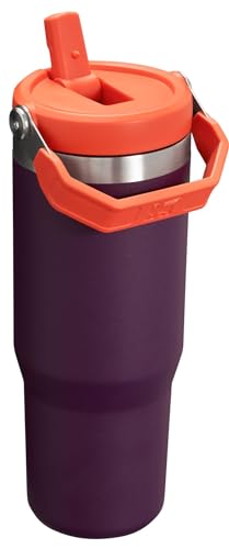 Stanley IceFlow Flip Straw Tumbler with Handle 30 oz | Twist On Lid and Flip Up Straw | Leak Resistant Water Bottle | Insulated Stainless Steel |BPA-Free | Lilac