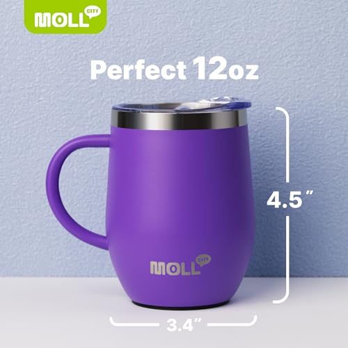 Tumbler with Lid and Straw-12 oz Stainless Steel Double Wall Vacuum Insulated Tumbler Cup with Handle (Canyon Red-Sky Blue)