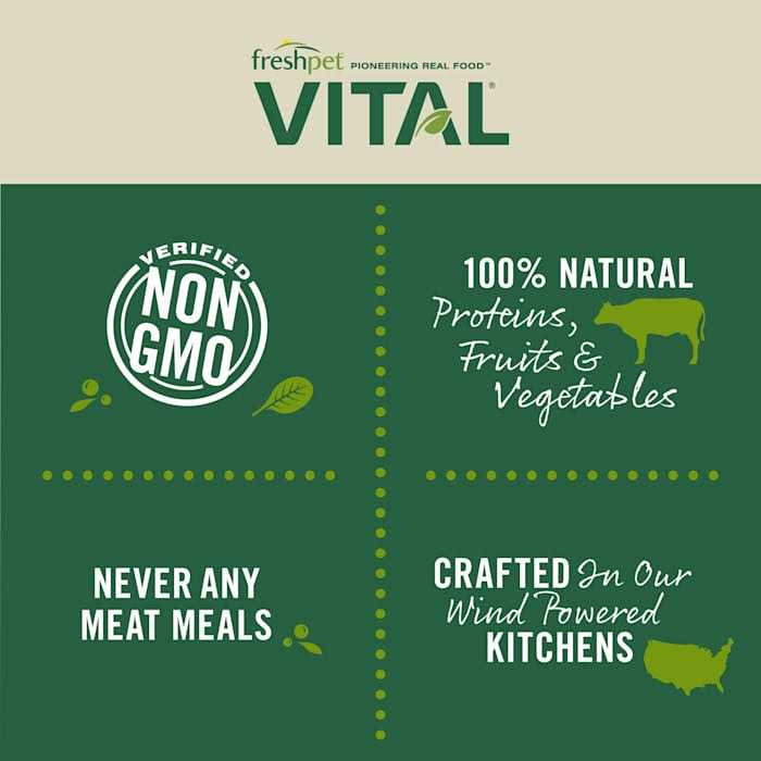 Freshpet Vital Grain-Free Chicken & Beef Fresh Cat Food - Pet Supplies online store