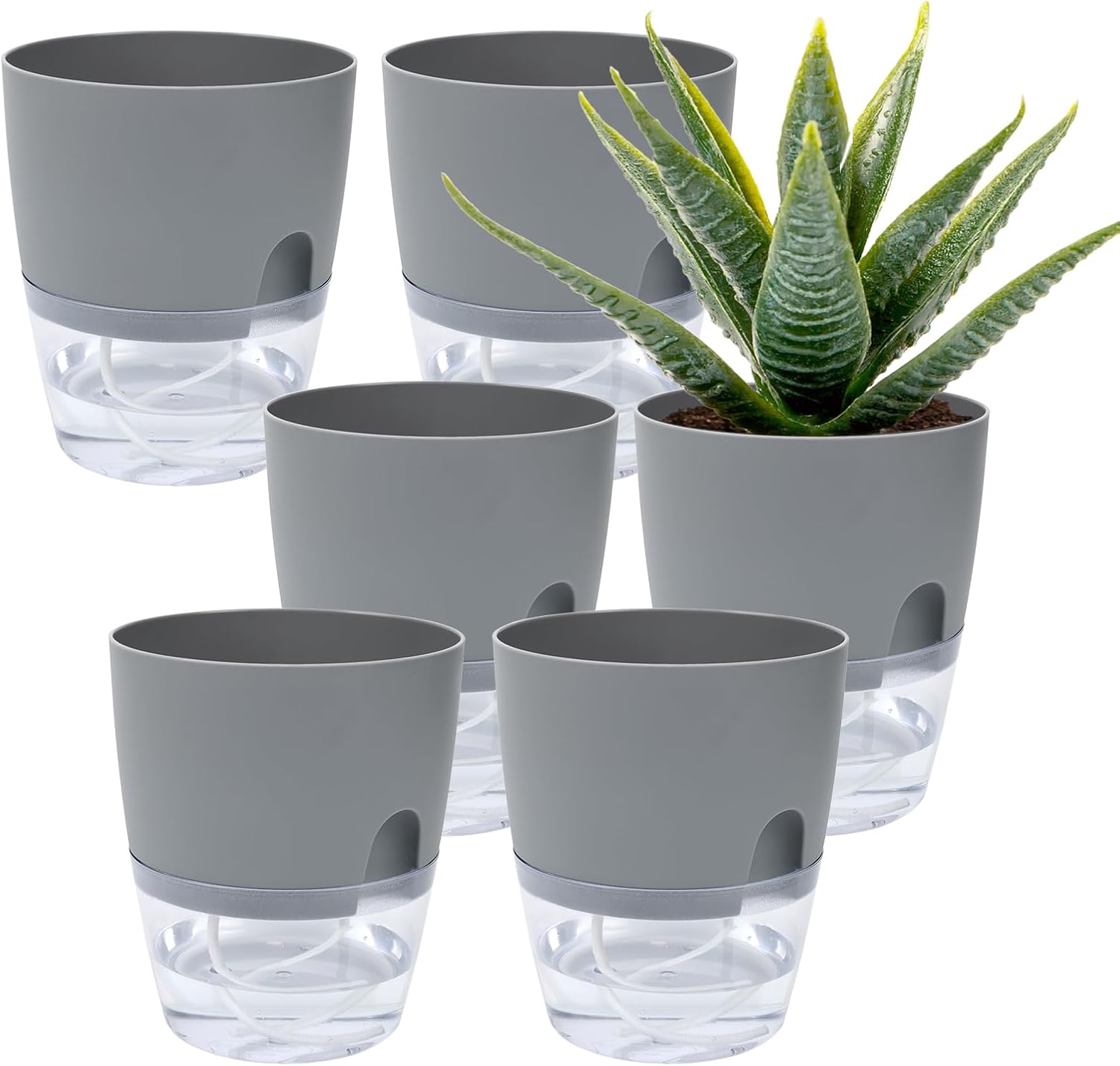 Whonline 6 Inch Self Watering Plant Pot, 6 Pack Grey Plastic Self Watering Pots Bottom Watering Plant Pots Violet Pots with Wick Rope for Indoor Outdoor Flowers Plants Windowsill