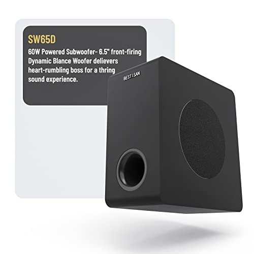 Powered Subwoofer, Bestisan 6.5