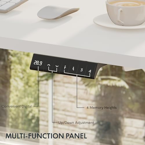 FLEXISPOT EN2 Whole-Piece Standing Desk with Clamp Power Strip, 55 x 28” Electric Stand Up Height Adjustable Desk with Cable Management (Black Frame + 55