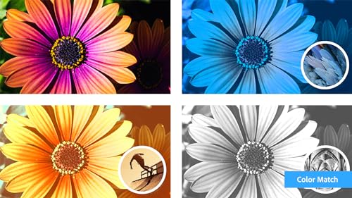 Adobe | Photoshop Elements 2024 & Premiere Elements 2024 | PC Code | Software Download | Photo Editing | Video Editing [PC Online code]