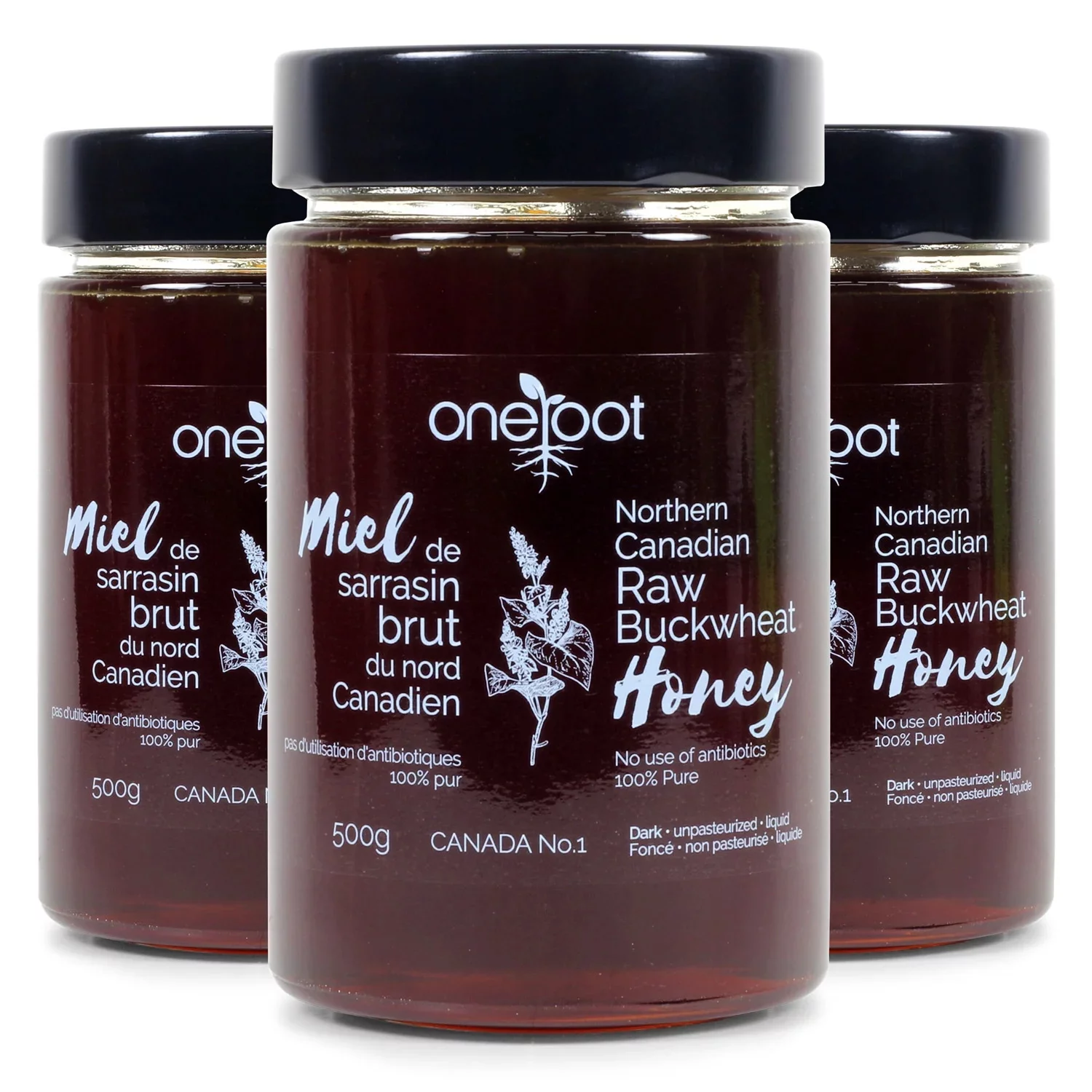 OneRoot 3-Pack Natural Raw Buckwheat Honey - 500g each - Unpasteurized, High in Antioxidants, Single Source, Gluten-Free, Supports Skin Care, 100% Pure, Never Heated, from Canada