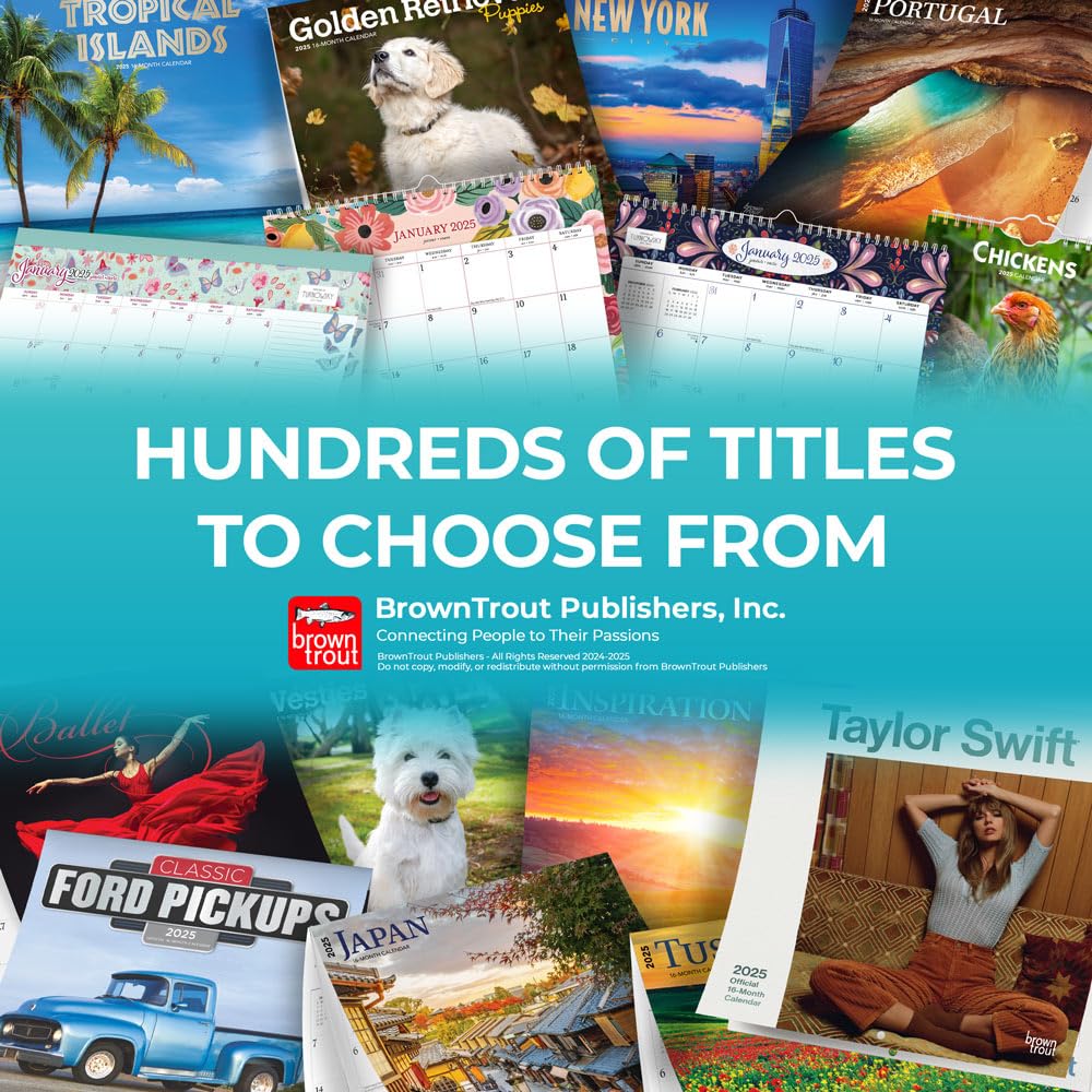 Cocinas Mexicanas | Kitchens of Mexico | 2025 12 x 24 Inch Monthly Square Wall Calendar | English/Spanish Bilingual | Plastic-Free | BrownTrout | Food Cuisine Cooking (Spanish and English Edition)