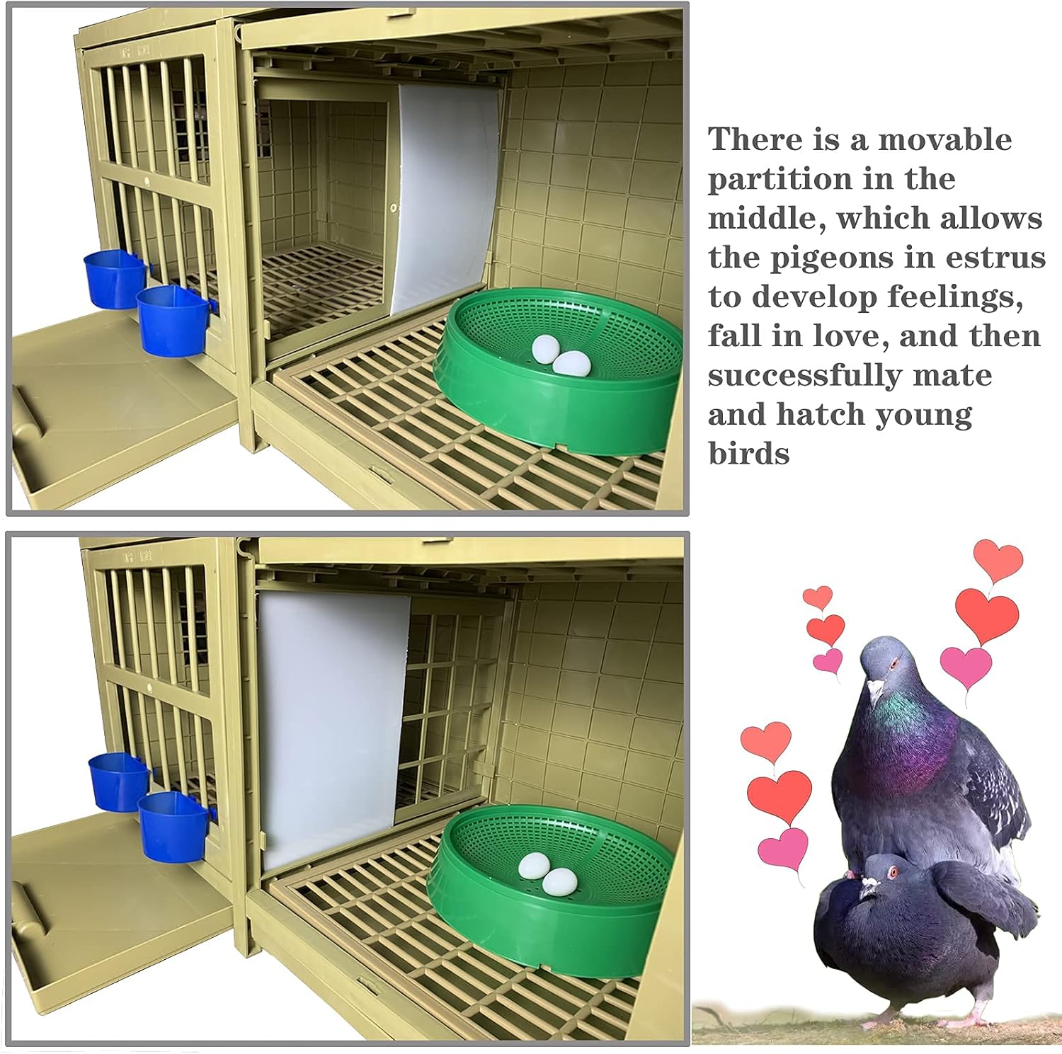 SRRPS PIGEON Pigeon Cage Plastic Pigeon Pairing Cage Bird Cage Pigeon Nest Box Carrier Combination Package Nest Solid Nest Rest and Pairing 32in, 32x18x18 Inch (Pack of 1)