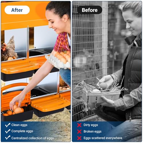 Chicken Nesting Box, 10 Hole 2 Layer Hen Nest Box with Legs, Roll Away Eggs Laying Boxes,Cleanable Pull Out Hen Roosting Boxes