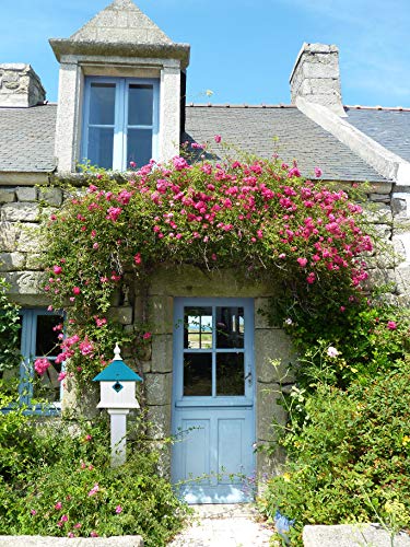 Jasmine Bird House (Hammered Copper)