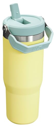 Stanley IceFlow Flip Straw Tumbler with Handle 30 oz | Twist On Lid and Flip Up Straw | Leak Resistant Water Bottle | Insulated Stainless Steel |BPA-Free | Lilac