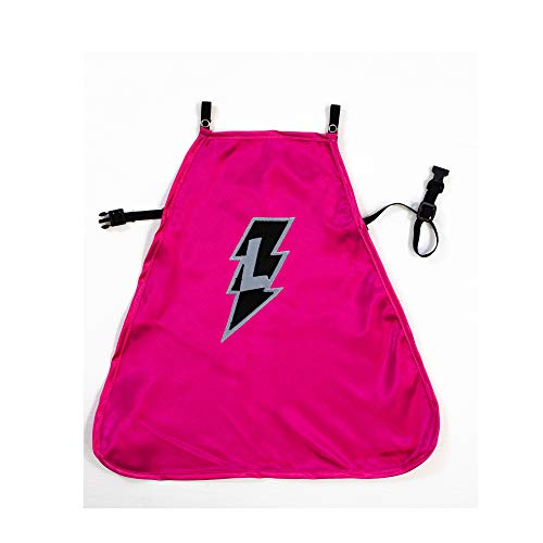 Everfan Personalized Dog Superhero Cape (Small 10