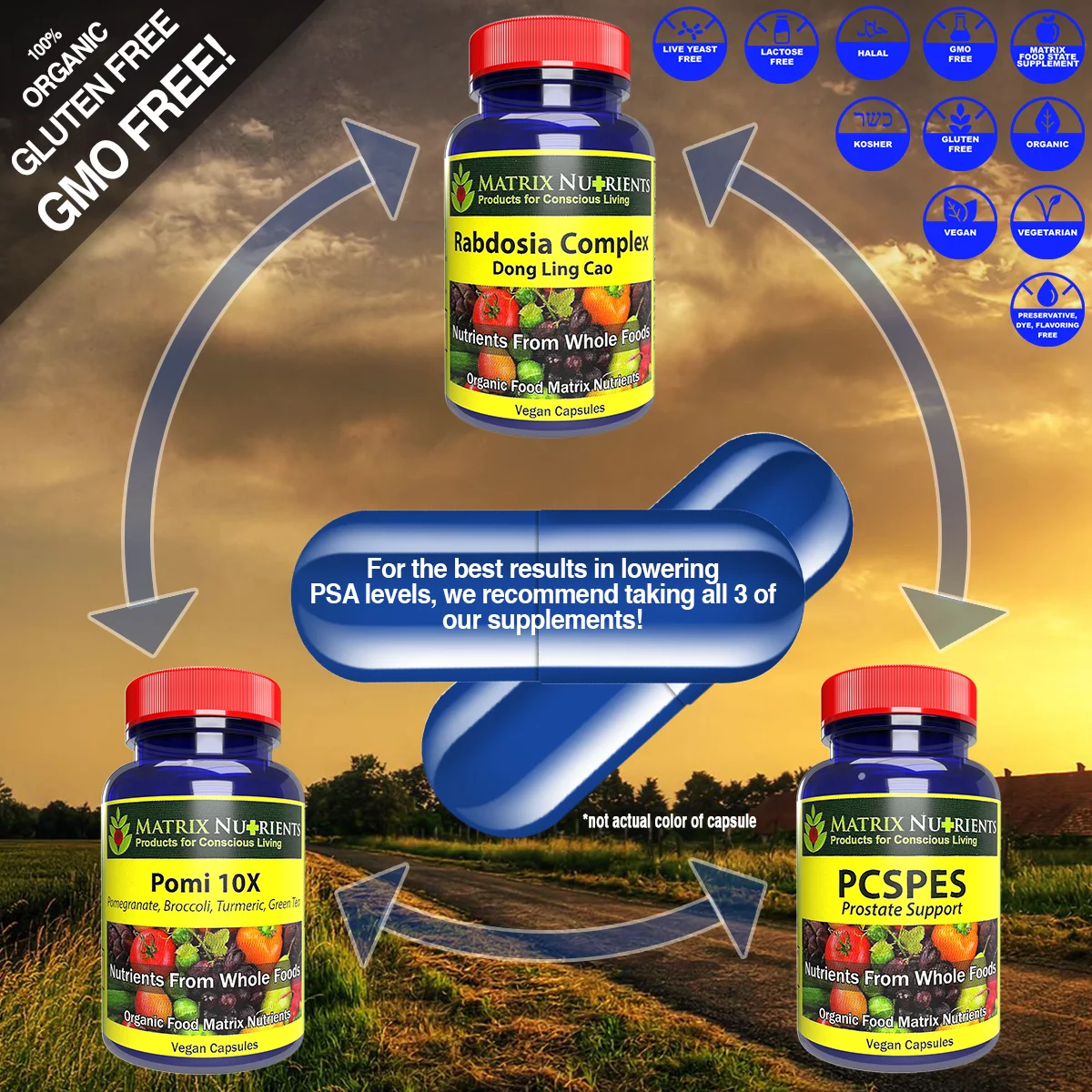 RABDOSIA Complex - Highly Potent Antioxidant for Maximum Cell Protection! - 100% Natural Ingredients: Rabdosia Extract, Green Tea, Resveratrol, Rutin - Vegan Capsules (120ct)