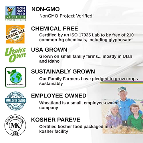 Hard White Wheat Berries : Wheatland™ : 25 lb Bulk: Emergency Preparedness : Mylar : Oxygen Absorber : 30 Year Shelf Life : Non GMO: NO Glyphosate : Long Term Food Storage