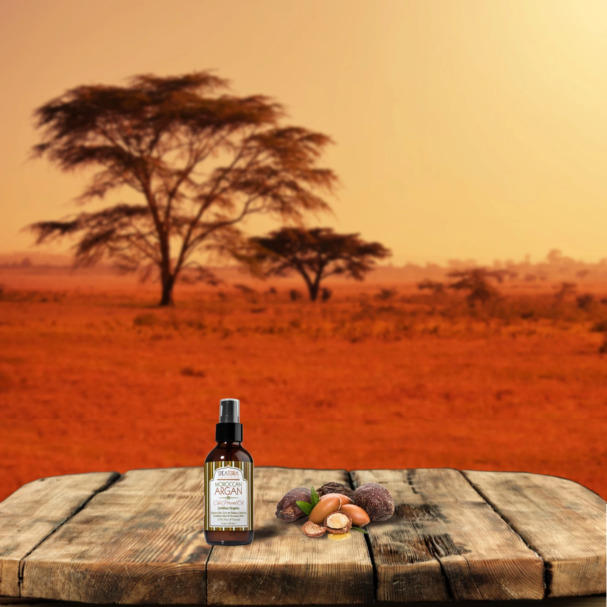 Shea Terra Moroccan Argan Cold-Pressed Extra Virgin Oil | Nutrient-Rich, All Natural & Organic Oil with Anti-Aging Vitamin A and E to Increase Skin Elasticity and Condition Dry & Damaged Hair ? 4 oz