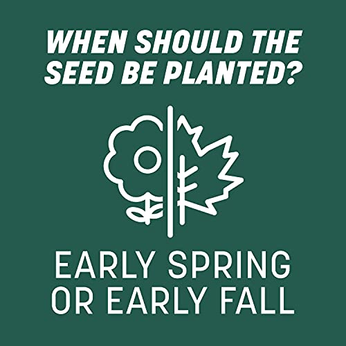 Pennington Smart Seed Sun and Shade Grass Mix 20 lb