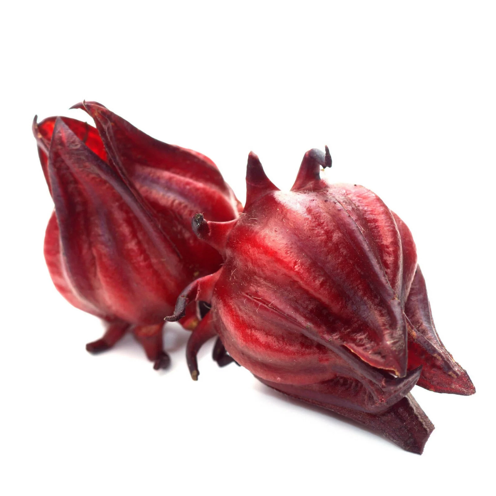 Hibiscus Tea Mega Pack 100 Bags 100% Natural in Resealable Foil Pouch