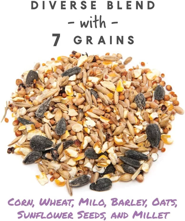 Manna Pro 7-Grain Ultimate Scratch, Purple Corn Chicken Feed, 10 lbs