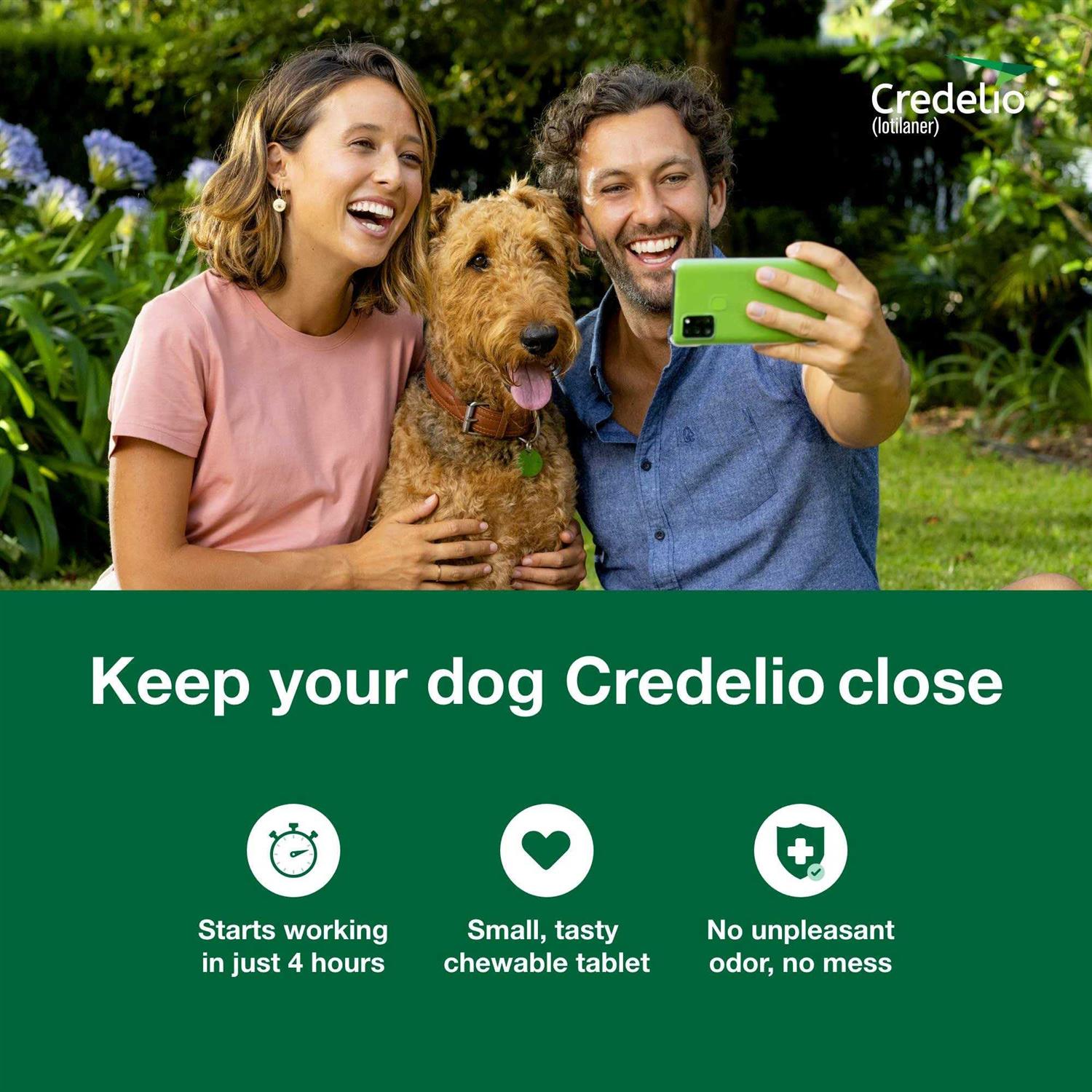 Credelio Chewable Tablet for Dogs - Pet Supplies online store