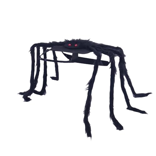 Halloween pet Spider Dress up Clothes