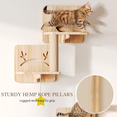 Cat Wall Shelves and Perches, Solid Wood Wall Mounted Cat Furniture, Set of 13 Cat Climbing Shelves with Moon Hammock, House, Wall Ladder, Scratching Post and Cat Tunnel