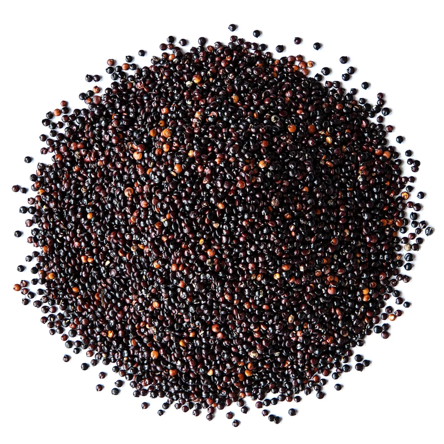 Organic Black Quinoa, 10 Pounds — Non-GMO, Kosher, Raw, Vegan, Sproutable — by Food to Live
