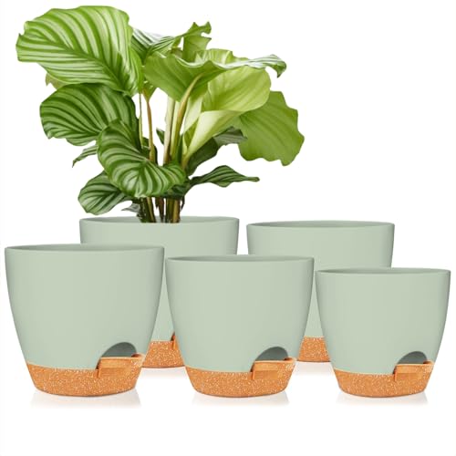 Self Watering Pots for Indoor - 8/7/6.5/6/5.5/5 Inch Self Watering Planters for Indoor Plants with Deep Saucer Reservoir & Drainage Holes Plastic Flower Pots for House Plants or Flower (White)